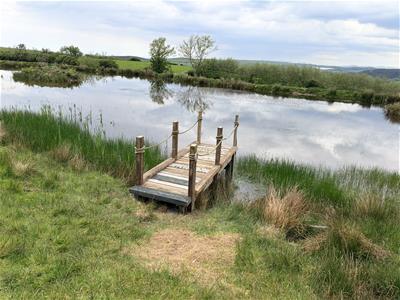 Picture 37